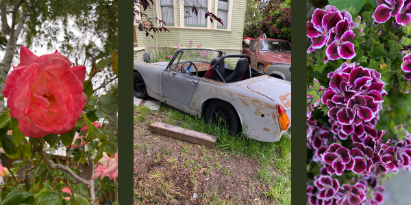 rose, beat up car and another flower